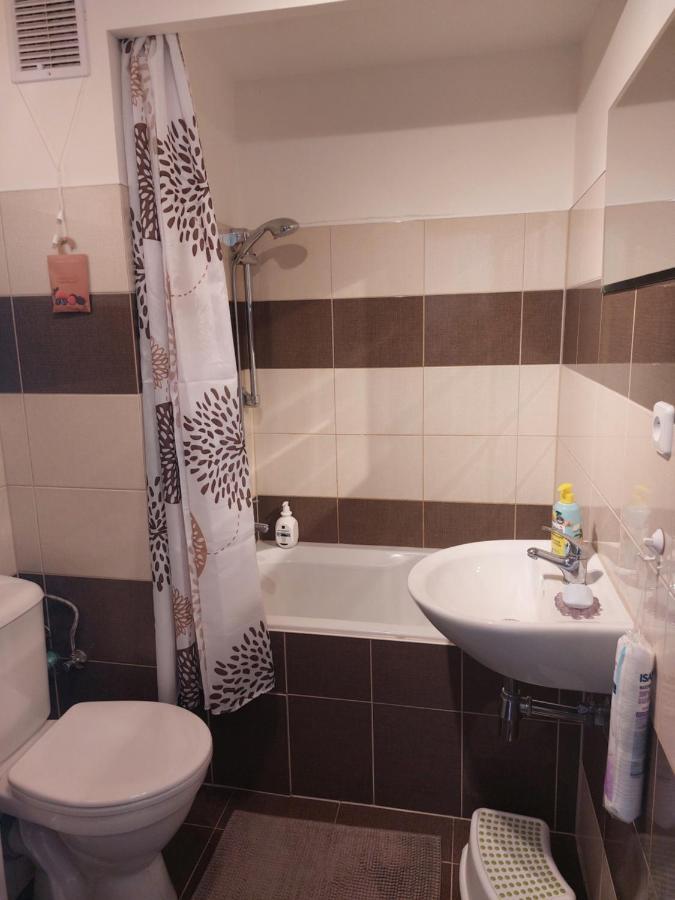 סוקולוב Apartman V Podhuri Krusnych Hor מראה חיצוני תמונה