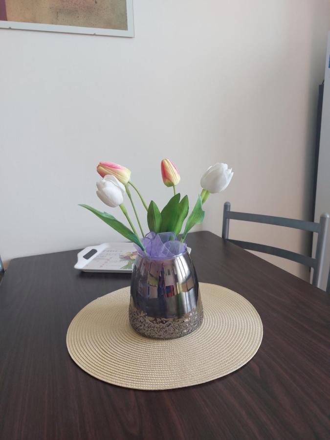 סוקולוב Apartman V Podhuri Krusnych Hor מראה חיצוני תמונה